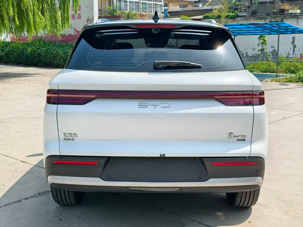 BYD Pro New Energy — миниатюра 4
