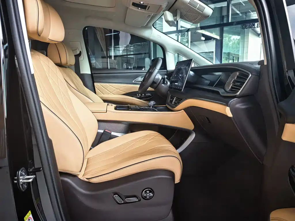 Denza Denza D9 — миниатюра 16