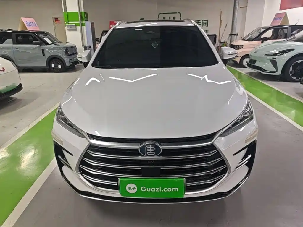 BYD Tang New Energy — миниатюра 3