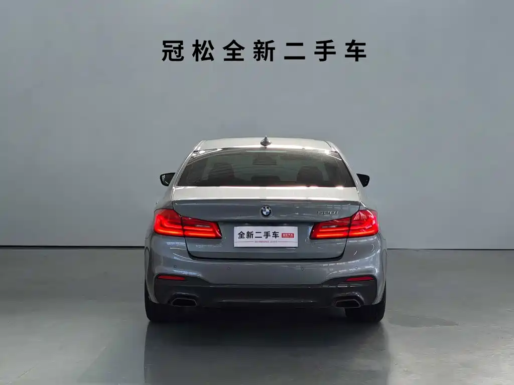 BMW 5 Series (Import) — миниатюра 5
