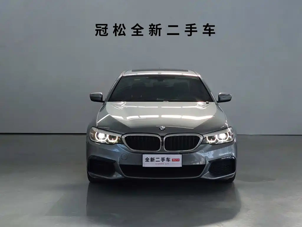 BMW 5 Series (Import) — миниатюра 2