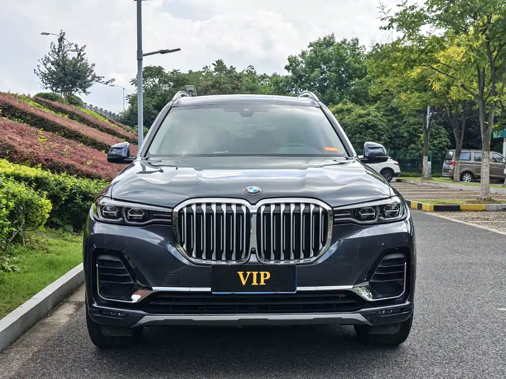 BMW X7 — миниатюра 2