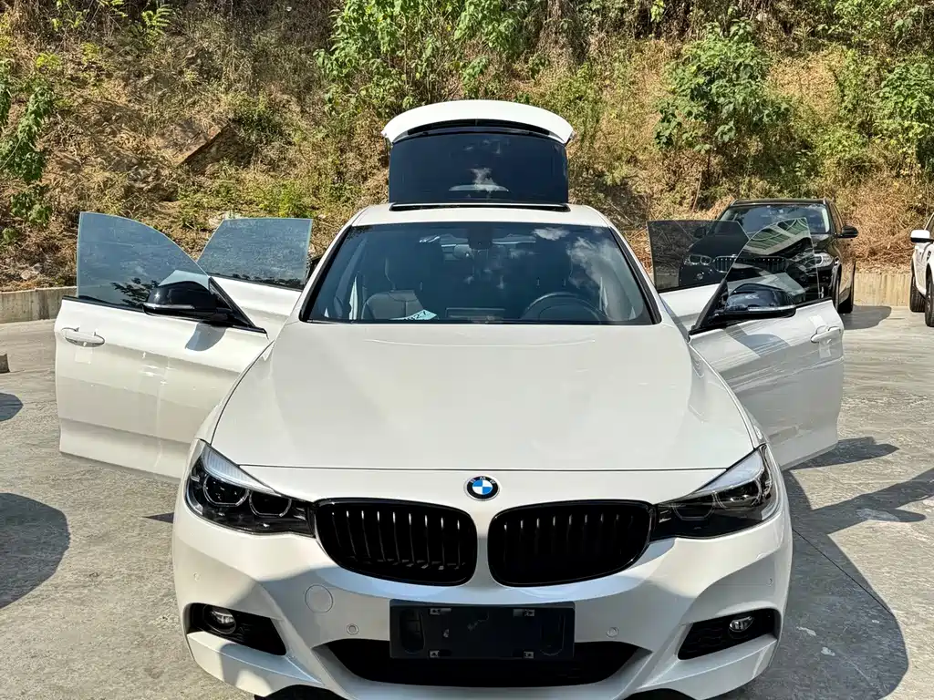 BMW 3 Series GT — миниатюра 19