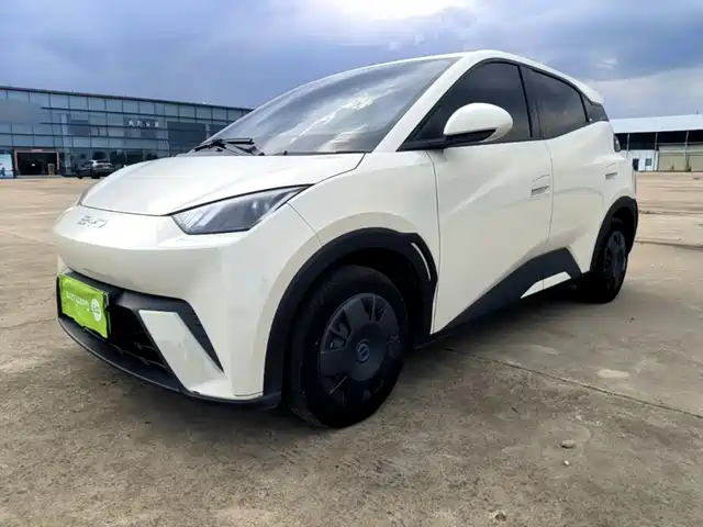 2024 BYD Seagull