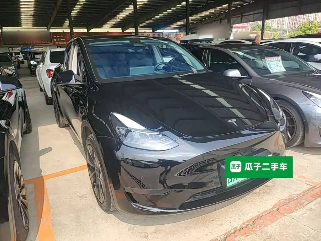 Tesla Model Y — миниатюра 4