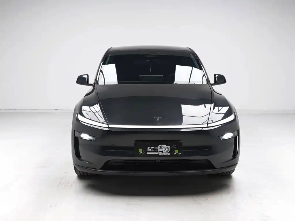 Tesla Model Y — миниатюра 2