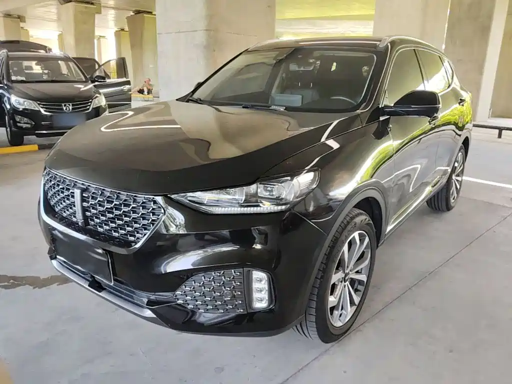 Wey Wey VV6 — миниатюра 2