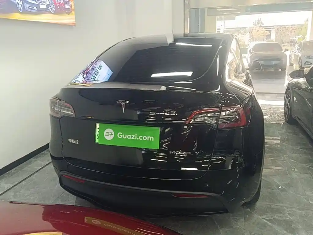Tesla Model Y — миниатюра 6