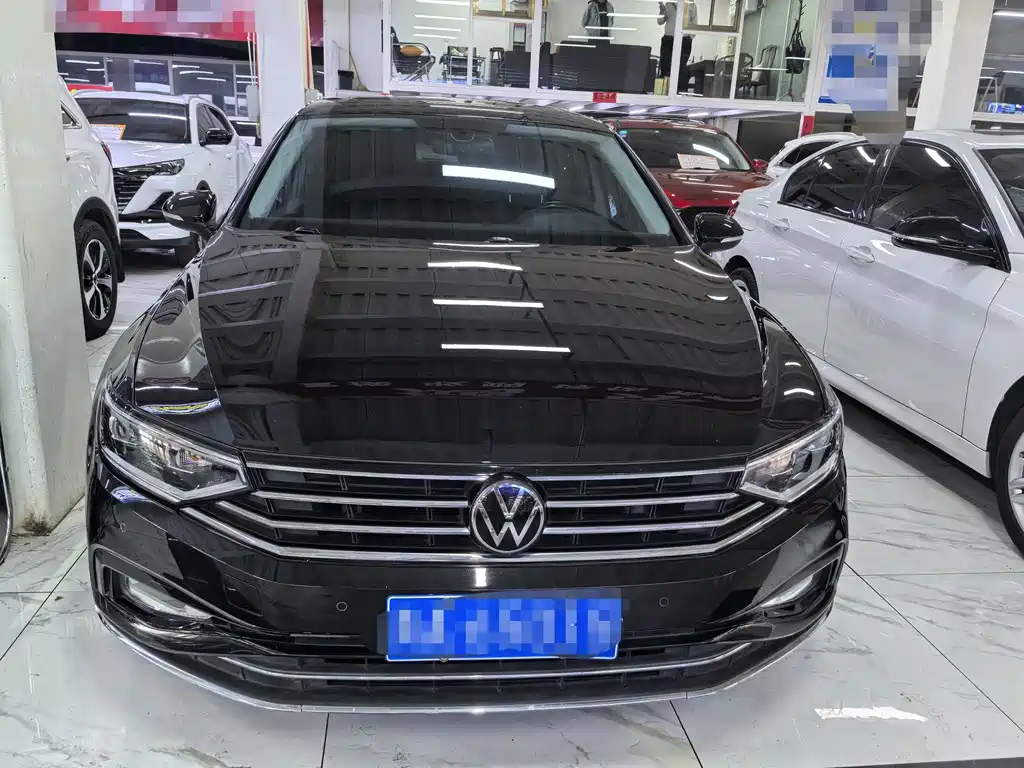 Volkswagen Magotan — миниатюра 2