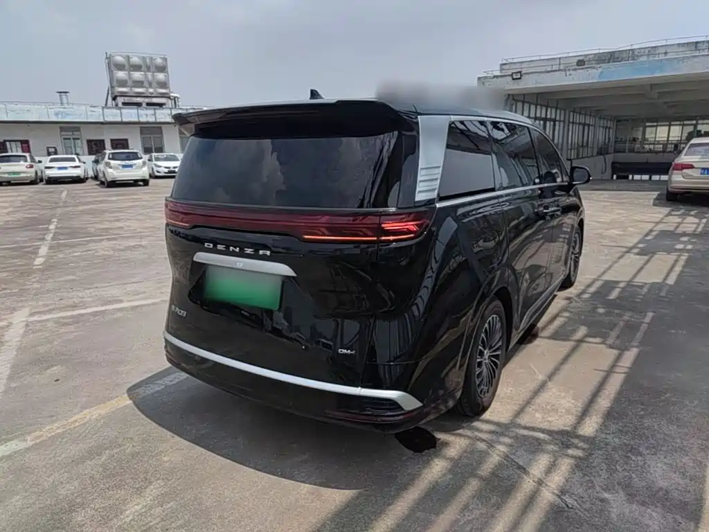 Denza Denza D9 — миниатюра 7