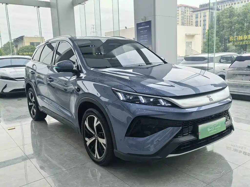 BYD Pro New Energy — миниатюра 2