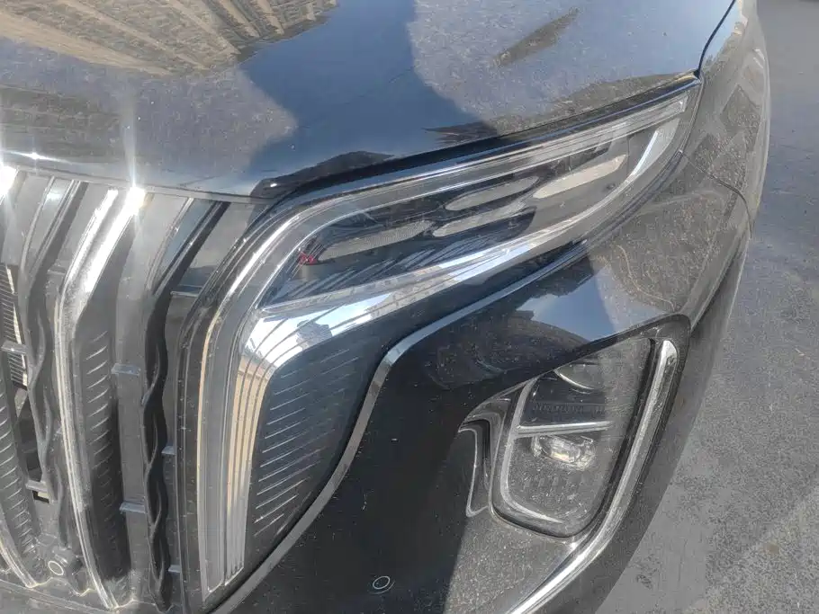 Hongqi Hongqi HS7 PHEV — миниатюра 5