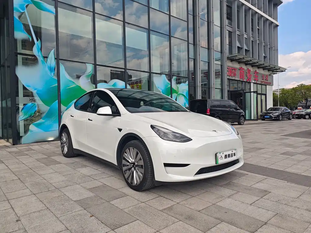 Tesla Model Y — миниатюра 3