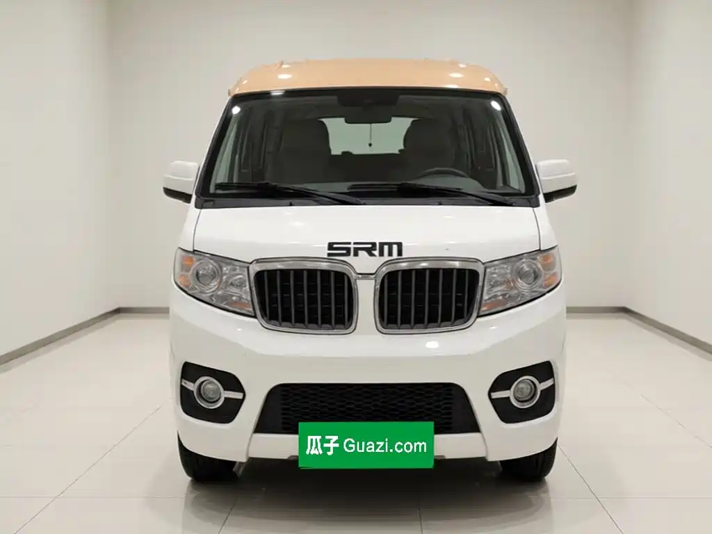 SRM SRM Sealion EV — миниатюра 2