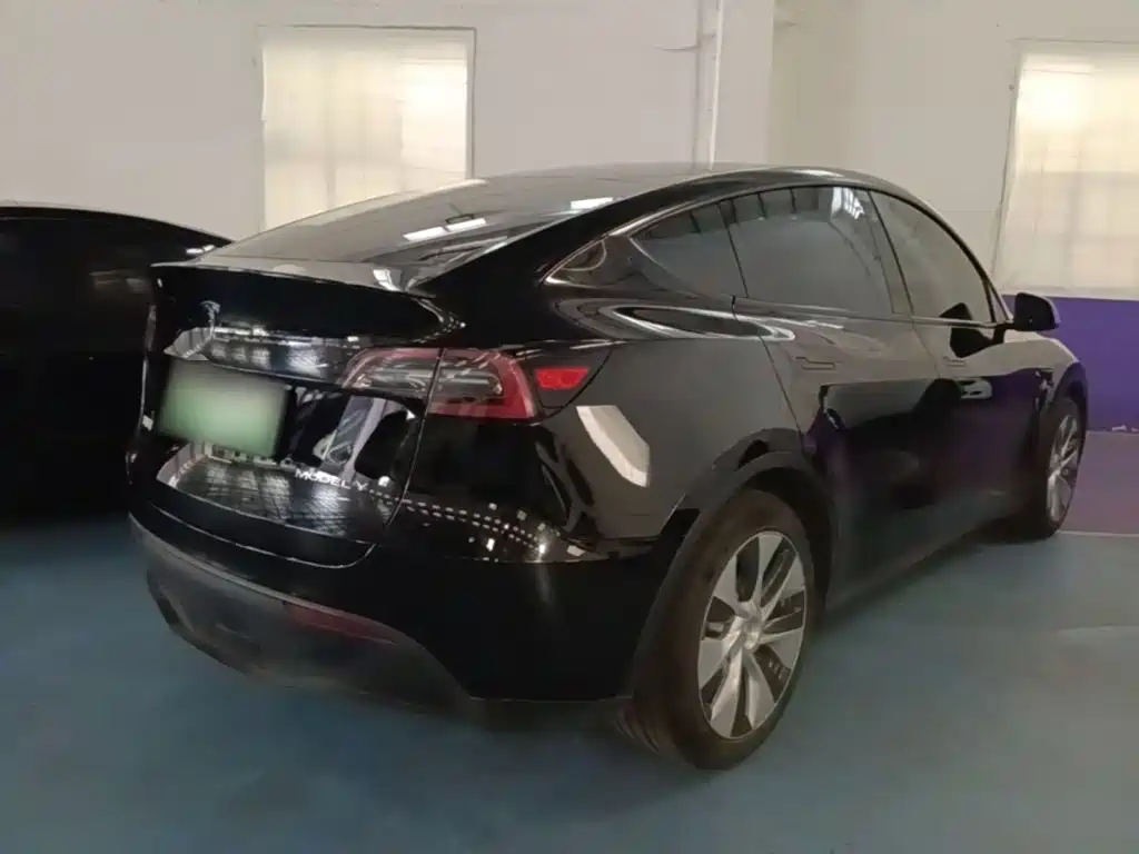 Tesla Model Y — миниатюра 7