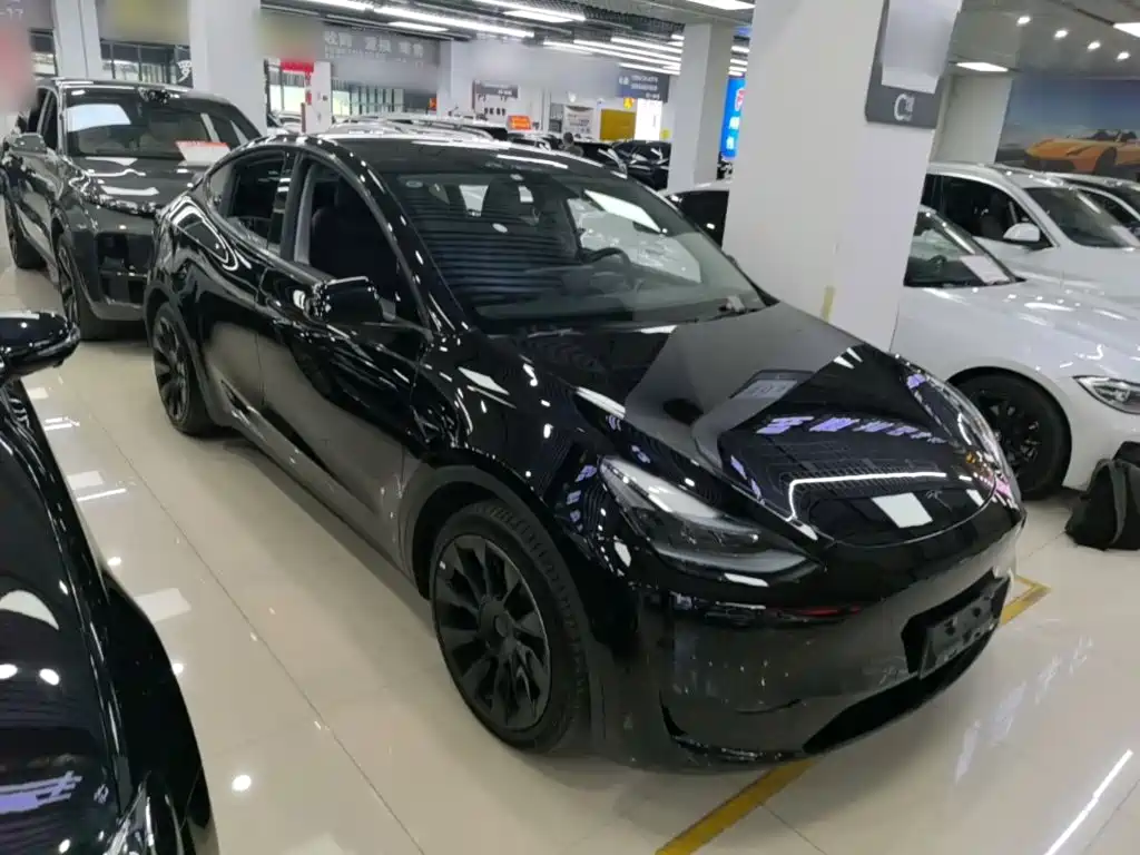 Tesla Model Y — миниатюра 4
