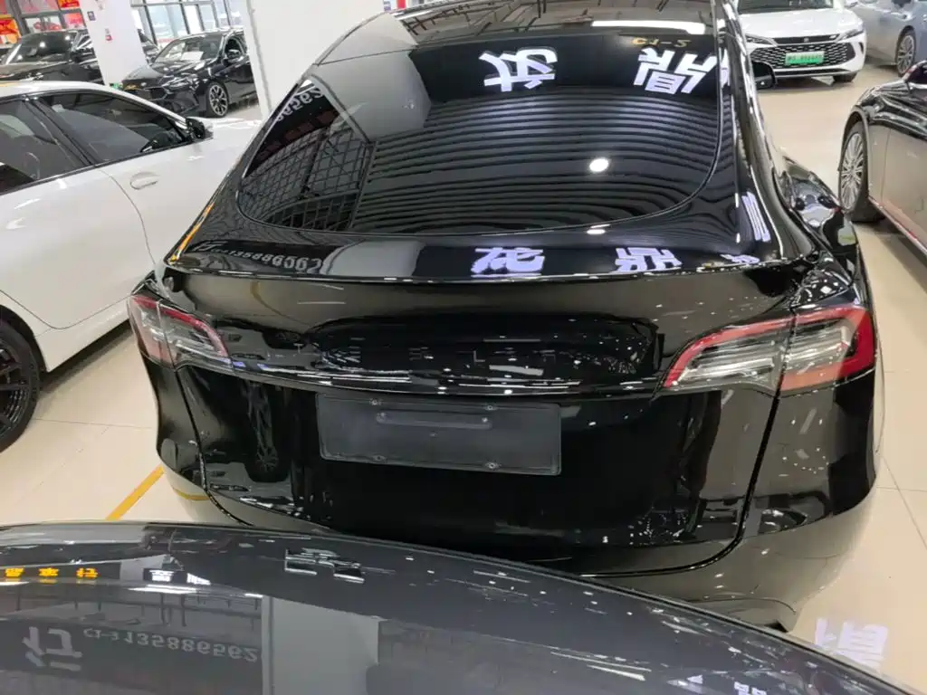 Tesla Model Y — миниатюра 6