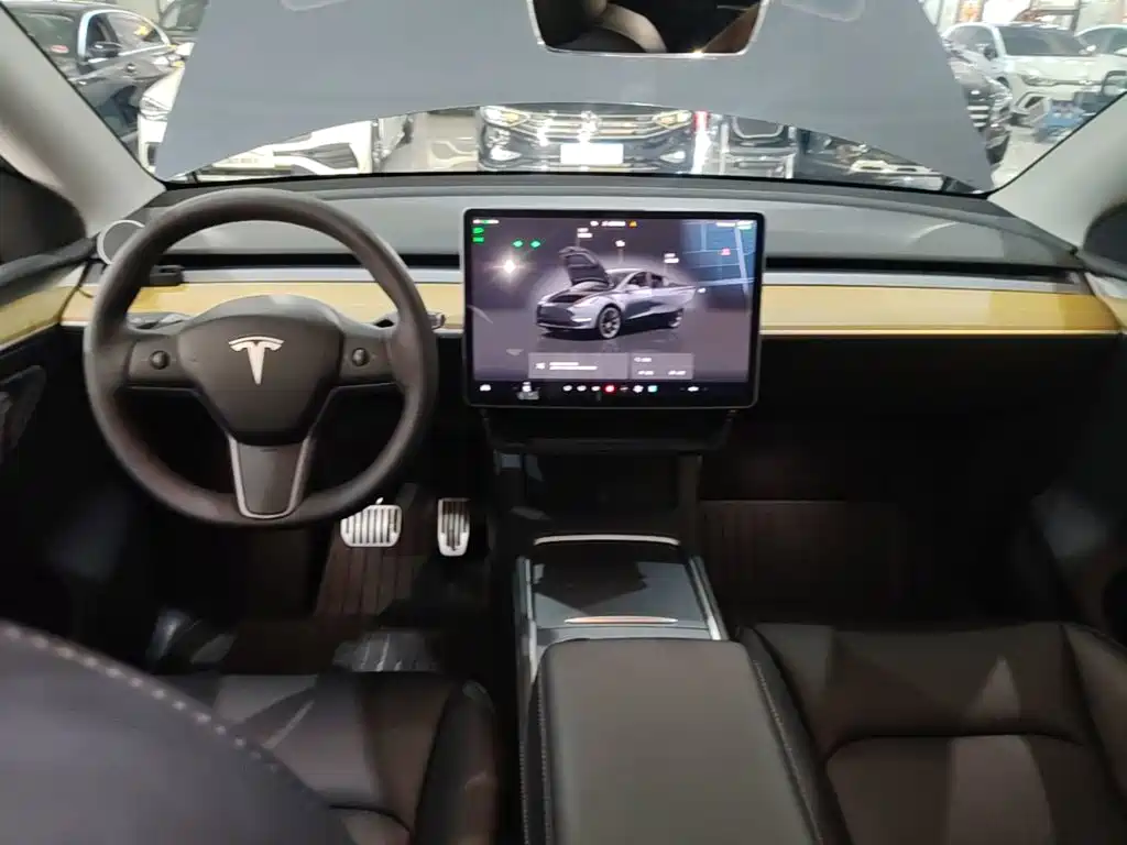 Tesla Model Y — миниатюра 10