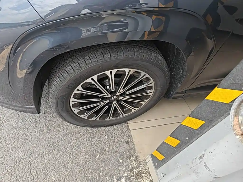 Hyundai Custo — миниатюра 23