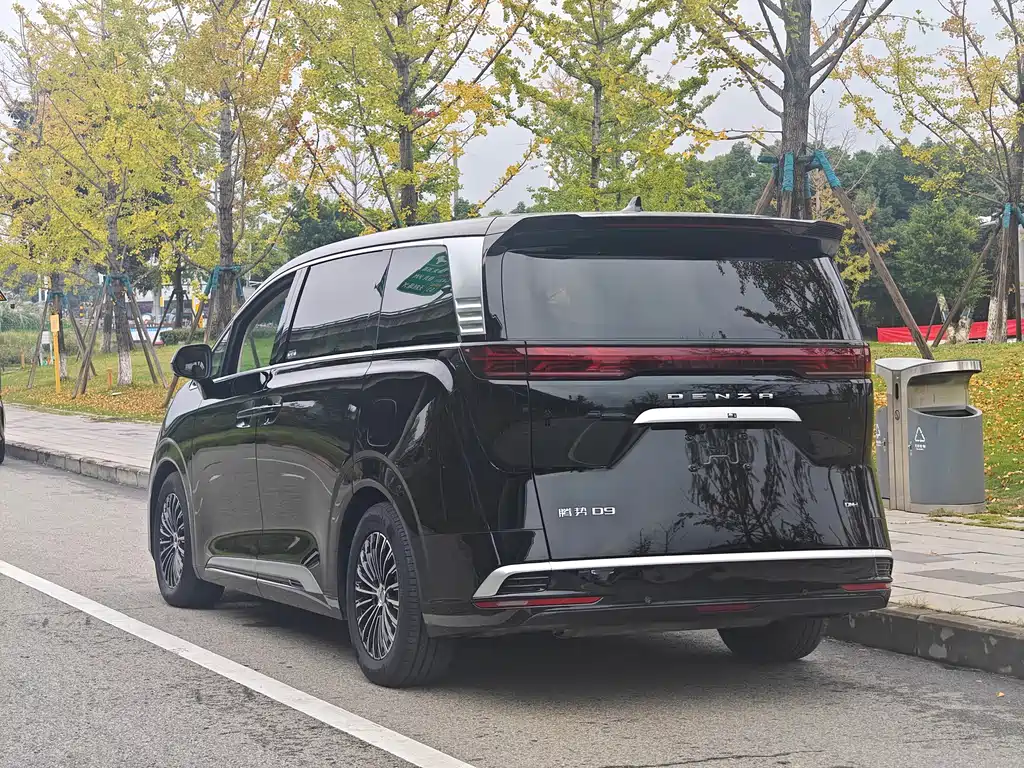 Denza Denza D9 — миниатюра 14