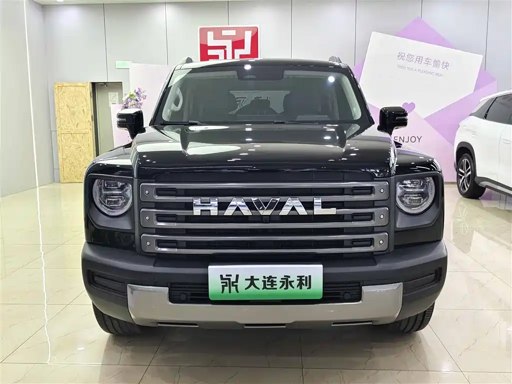 HAVAL RAPTORS NEW ENERGY