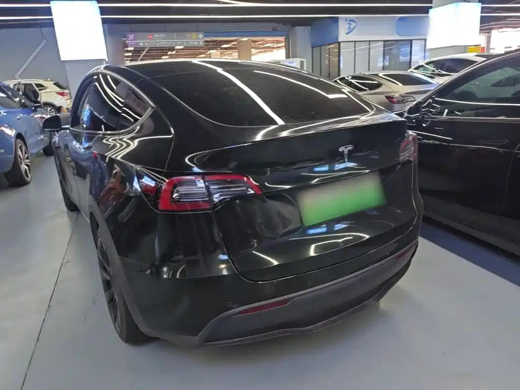 Tesla Model Y — миниатюра 5