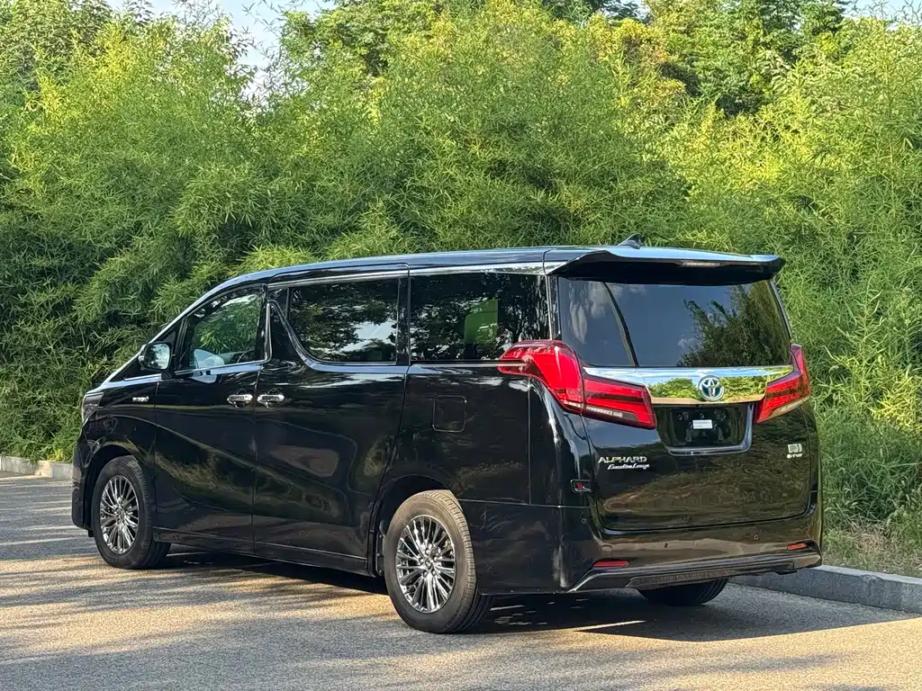 Toyota Alphard — миниатюра 14