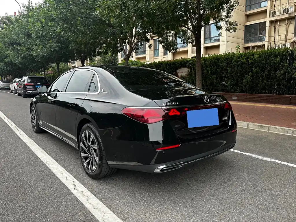 Mercedes-Benz E-Class E 2025 E 300 L Luxury