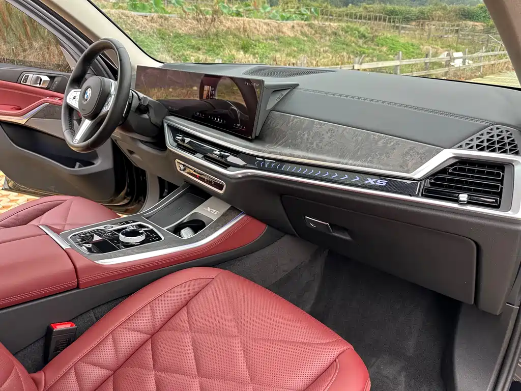 BMW X5 — миниатюра 12