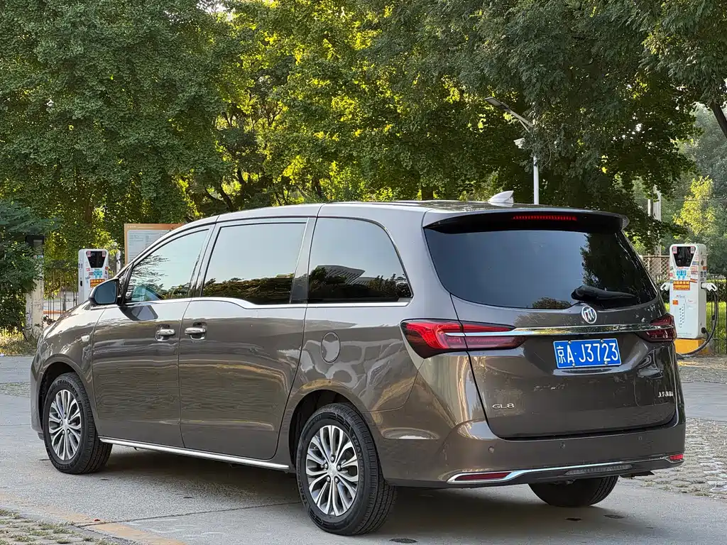 Buick GL8 — миниатюра 6