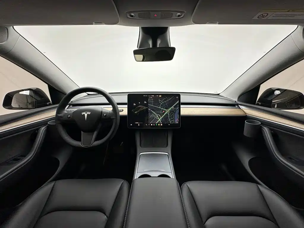 Tesla Model Y — миниатюра 19