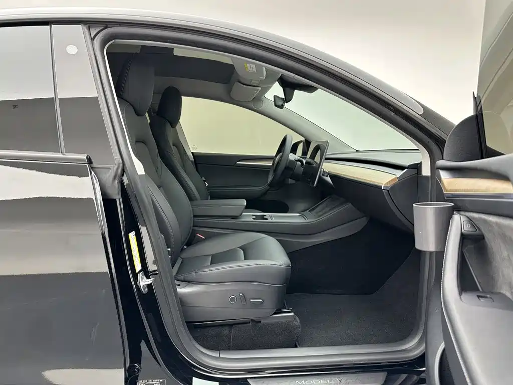 Tesla Model Y — миниатюра 23