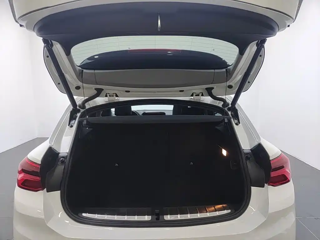 BMW X2 (Import) — миниатюра 19