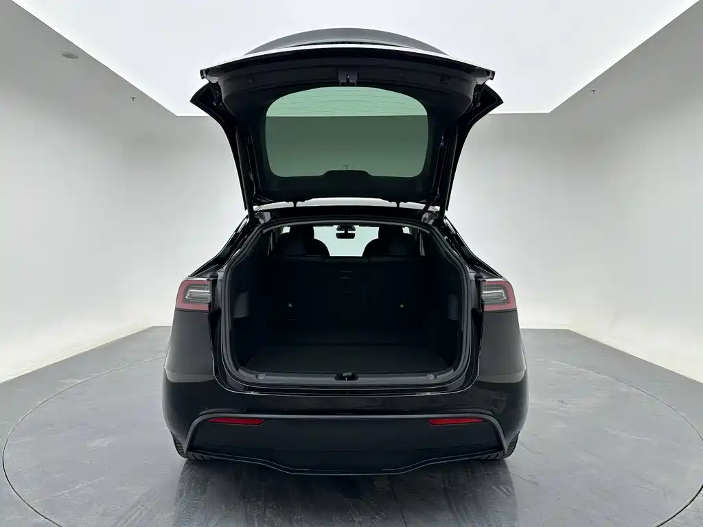 Tesla Model Y — миниатюра 21