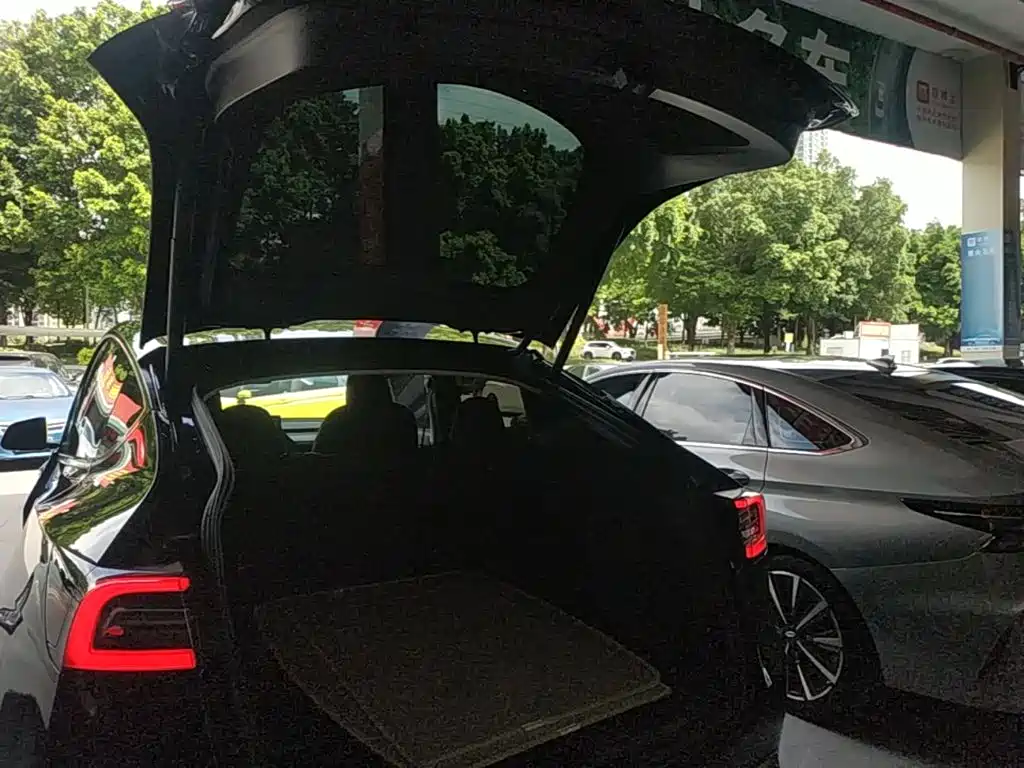Tesla Model Y — миниатюра 19
