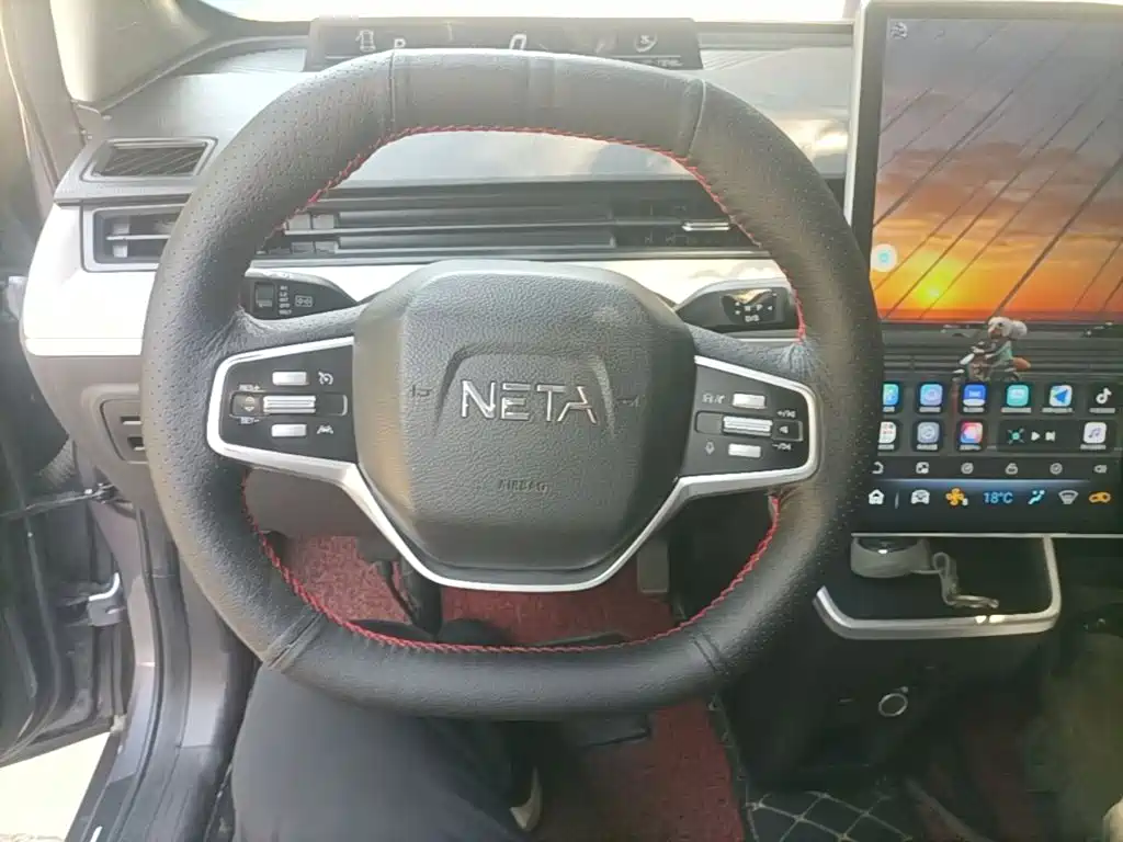 Neta Neta V — миниатюра 11