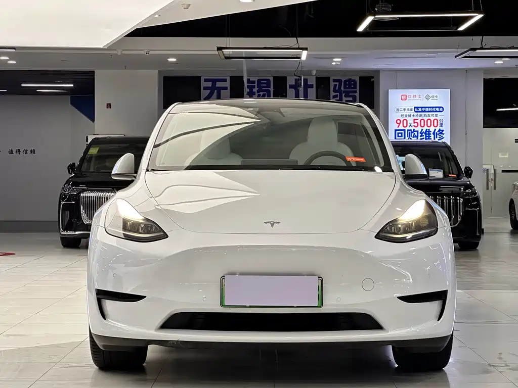Tesla Model Y — миниатюра 2
