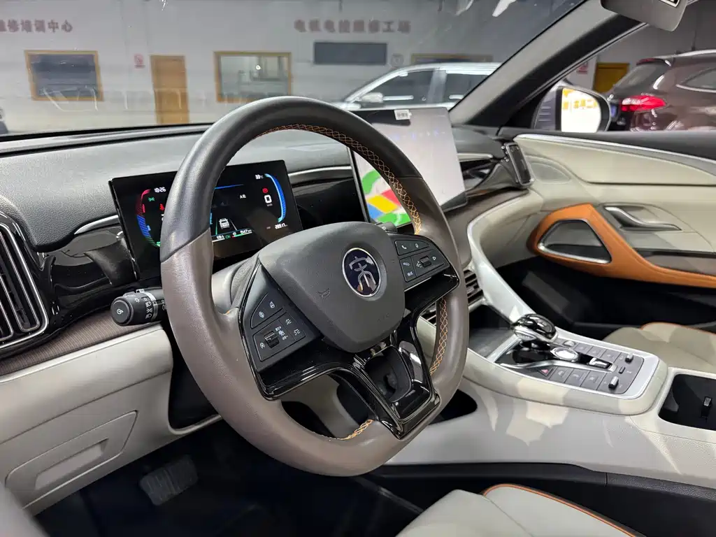 BYD Pro New Energy — миниатюра 15