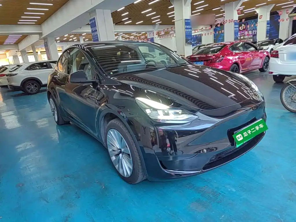 Tesla Model Y — миниатюра 4