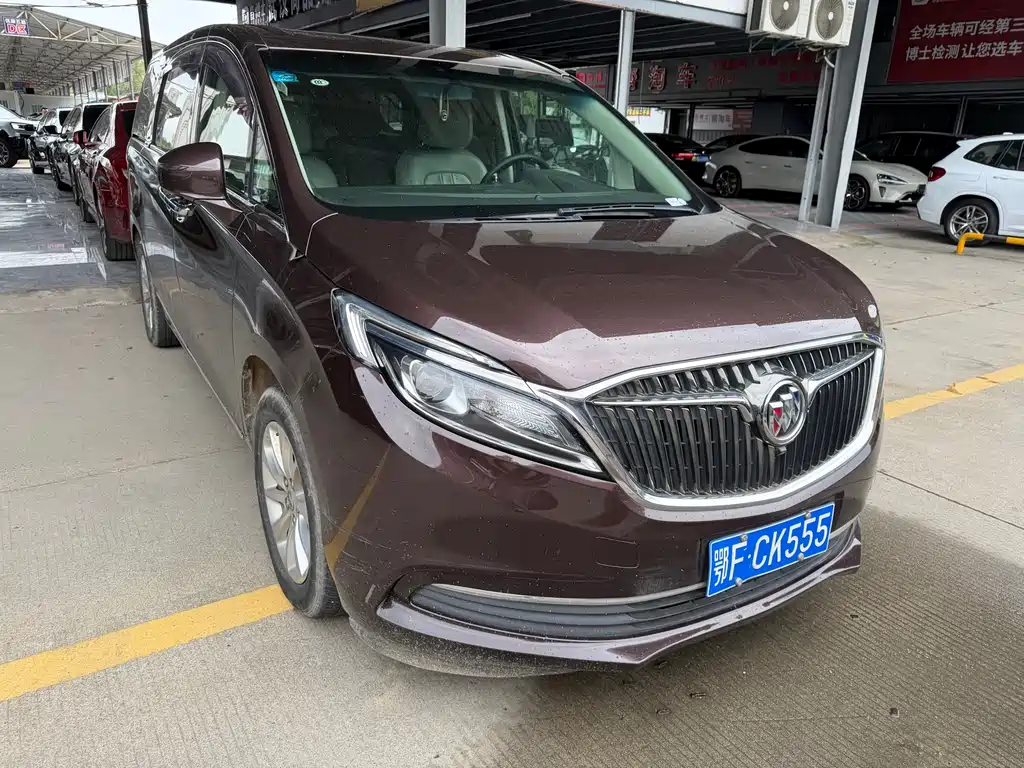 Buick GL8 — миниатюра 3