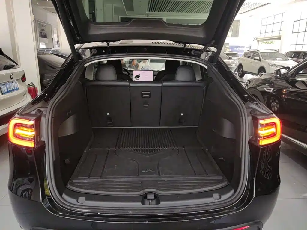 Tesla Model Y — миниатюра 19