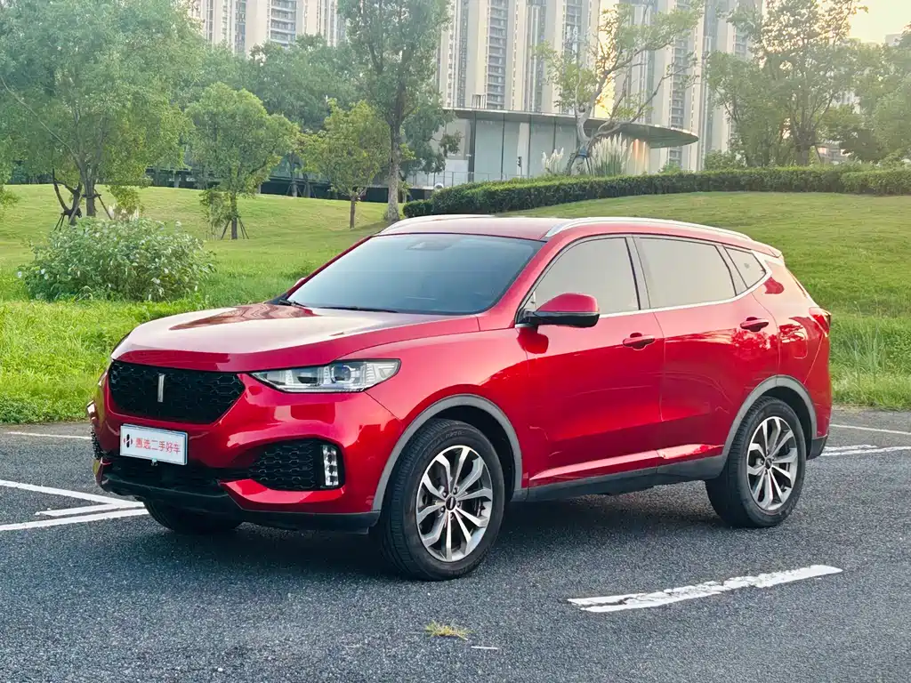Wey Wey VV6