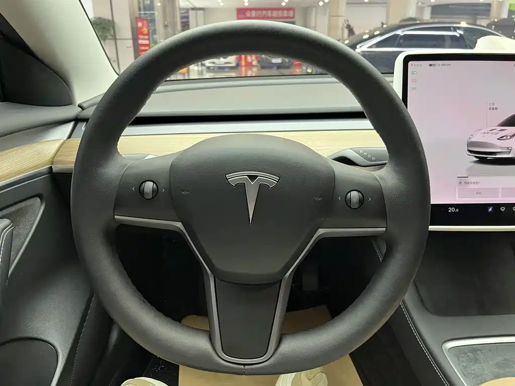 Tesla Model 3 — миниатюра 17