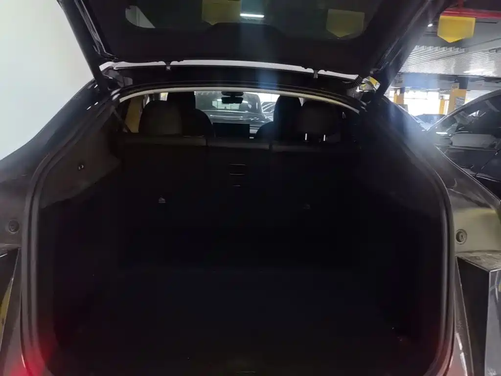 Tesla Model Y — миниатюра 19