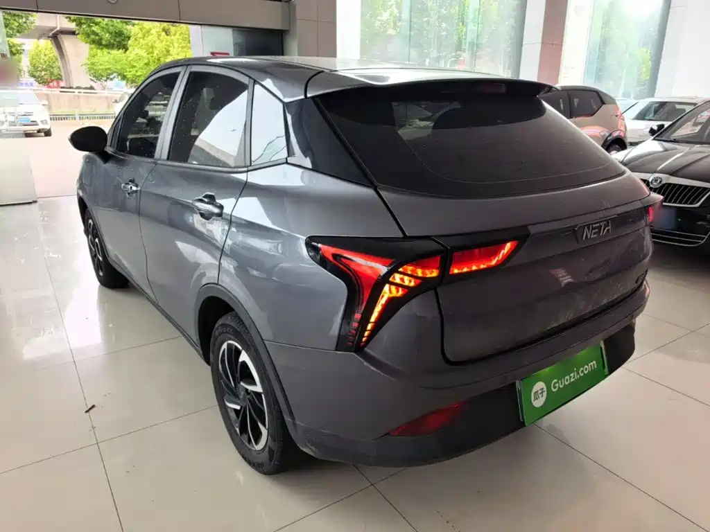 Neta Neta V — миниатюра 5