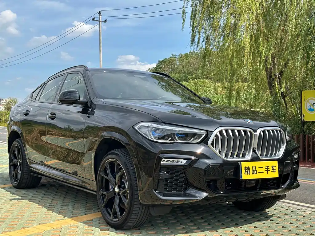 BMW X6 — миниатюра 3