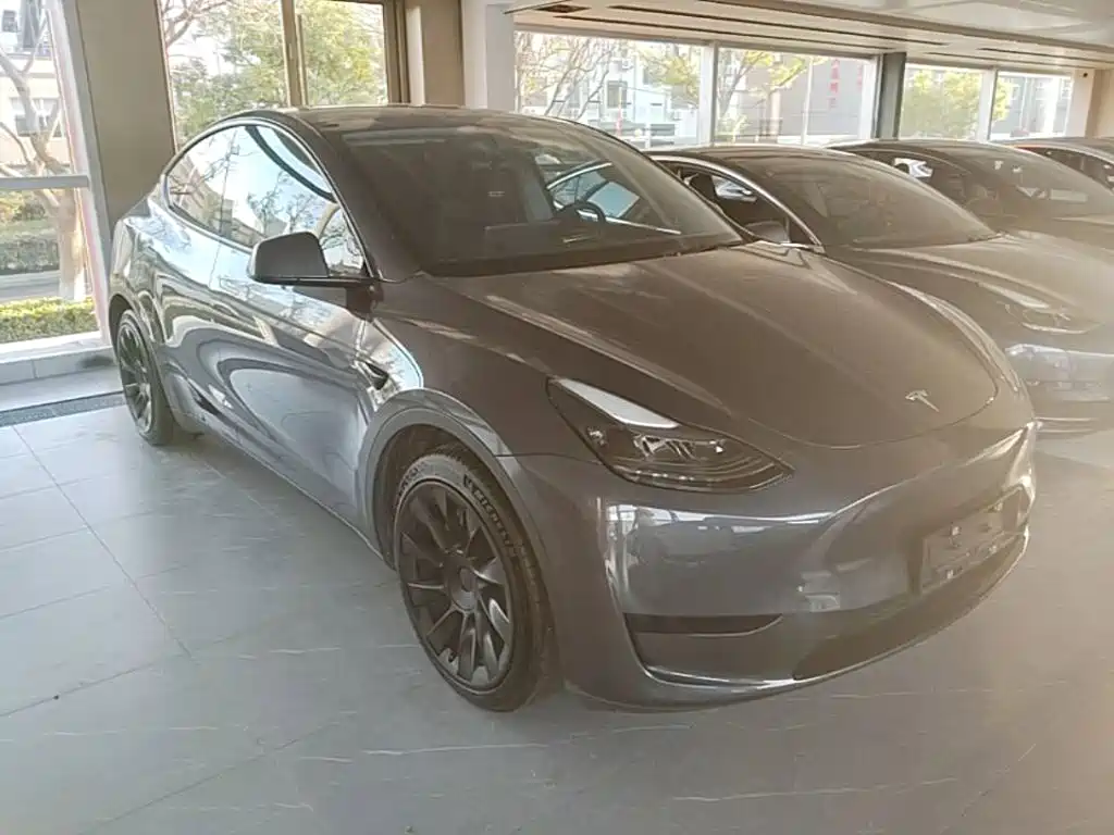 Tesla Model Y — миниатюра 4