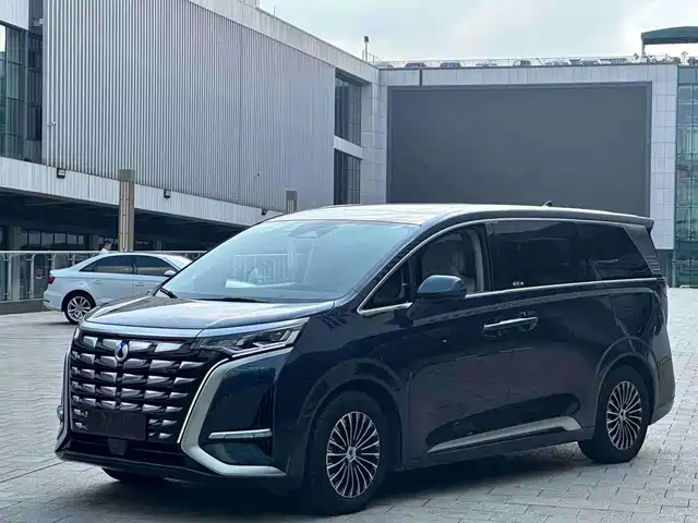 2023 Denza D9
