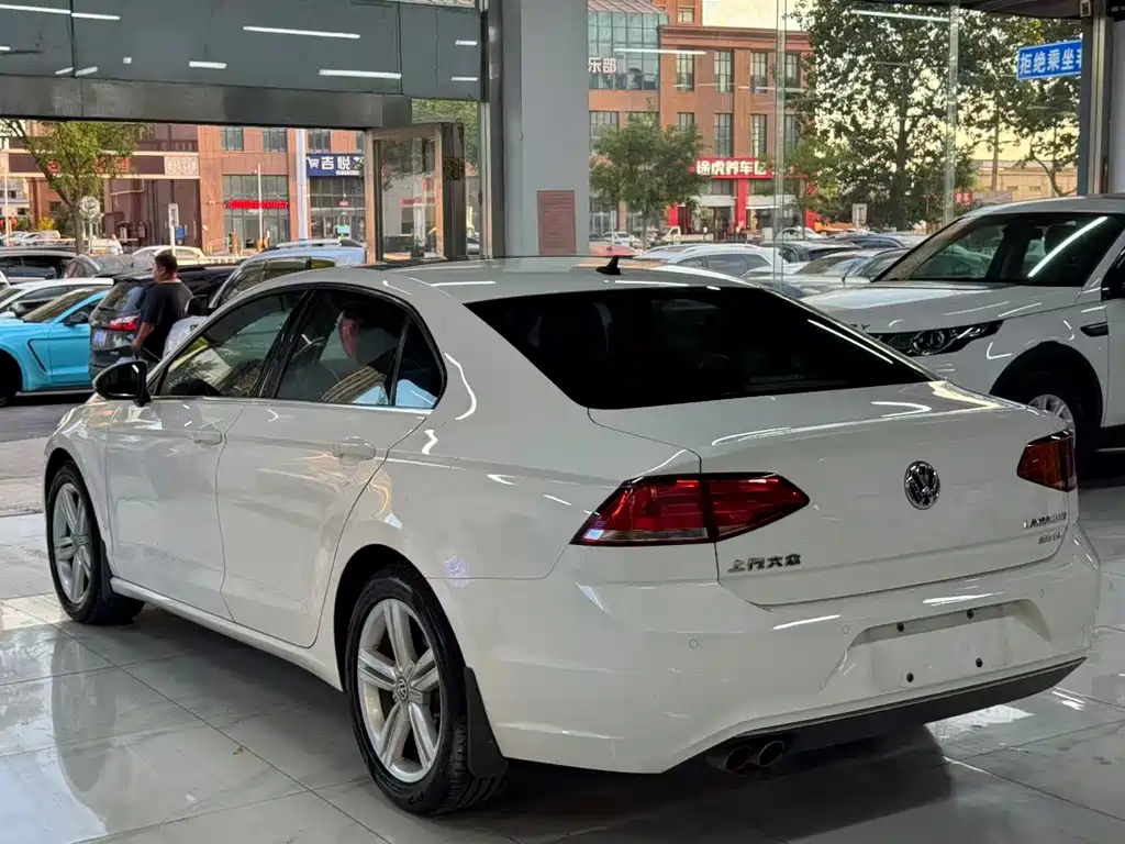 Volkswagen Lamando — миниатюра 5