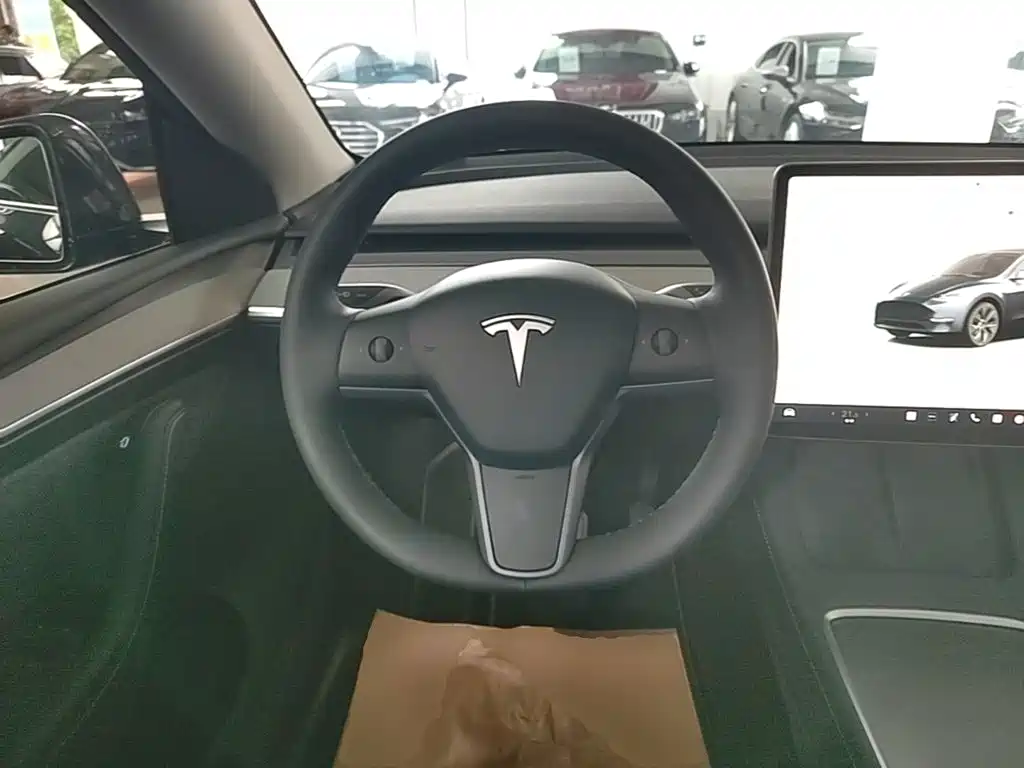 Tesla Model Y — миниатюра 11